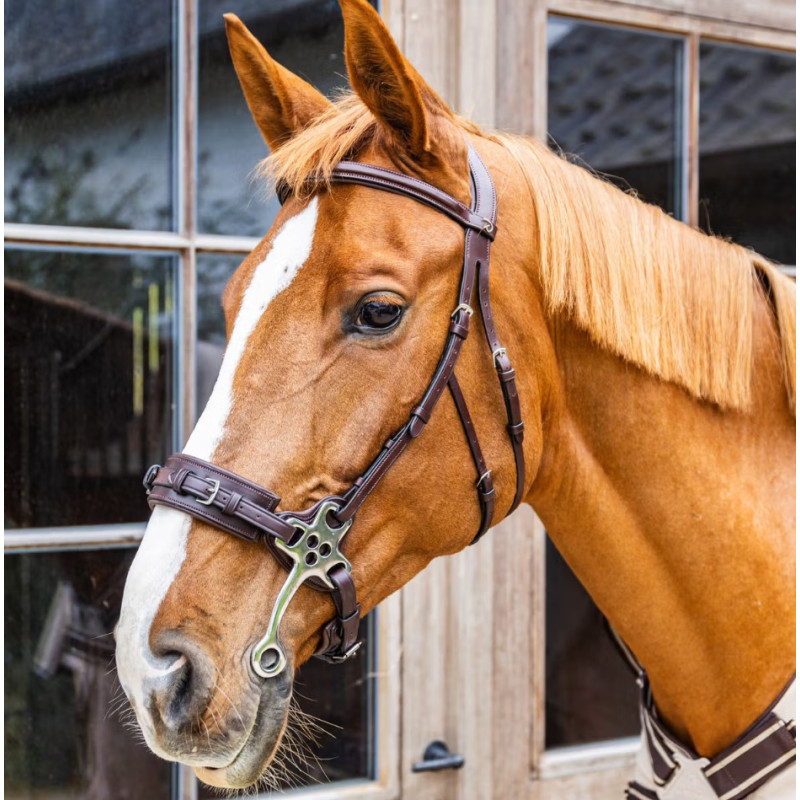 Hackamore nez cuir New English - Dyon | Mors & More