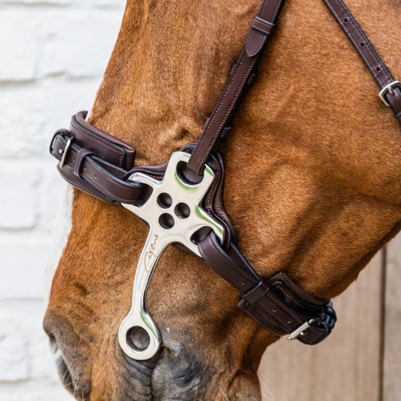 Hackamore nez cuir New English - Dyon | Mors & More