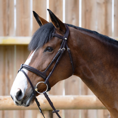 EVOLUTION Flash noseband Bridle - Origin Collection - Jump'in | Mors & More