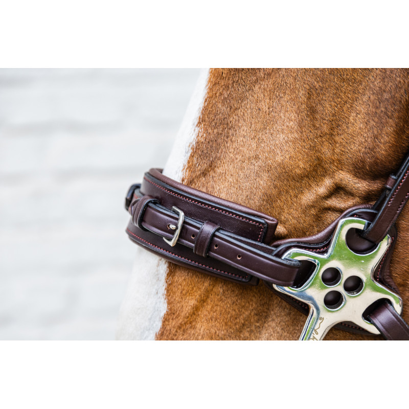 Hackamore leather noseband New English - Dyon  | Mors & More