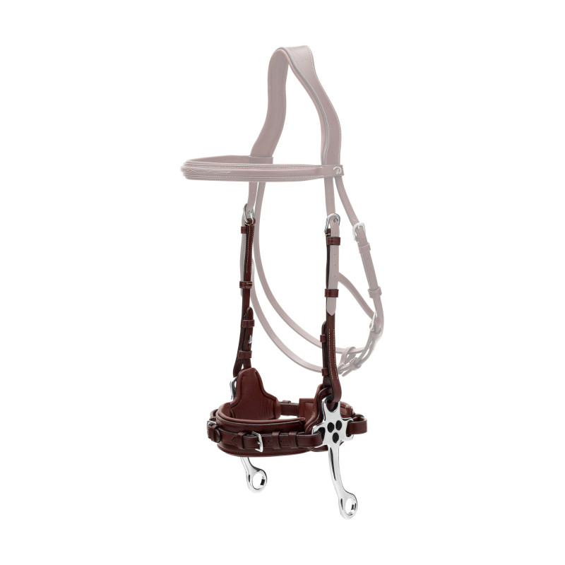 Hackamore nez cuir New English - Dyon | Mors & More