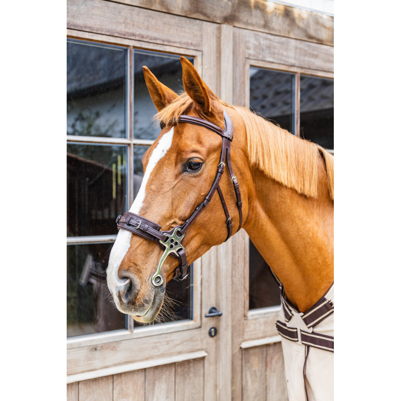 Hackamore nez cuir New English - Dyon | Mors & More