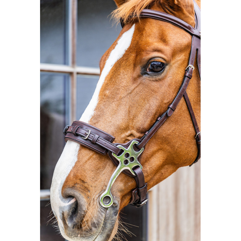 Hackamore leather noseband New English - Dyon  | Mors & More