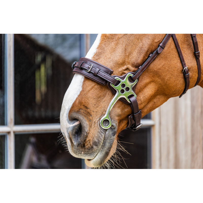 Hackamore leather noseband New English - Dyon  | Mors & More