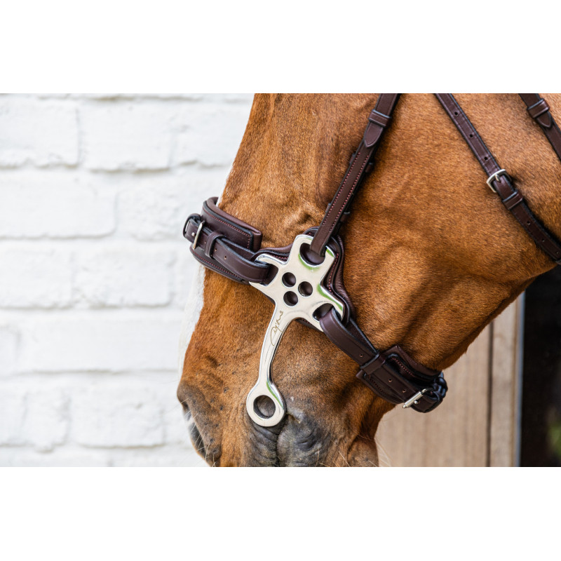 Hackamore nez cuir New English - Dyon | Mors & More