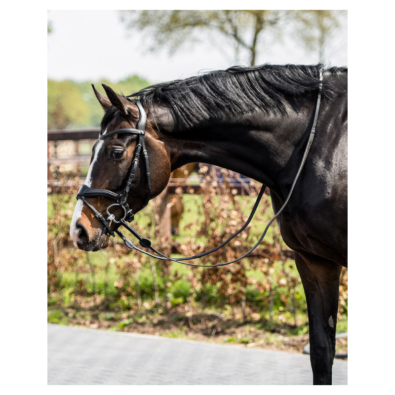 Bridon muserolle combinée Falsterbo - Trust | Mors & More