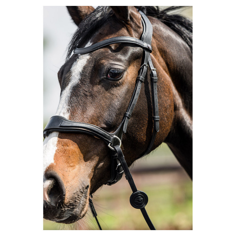 Falsterbo bridle combined noseband - Trust | Mors & More