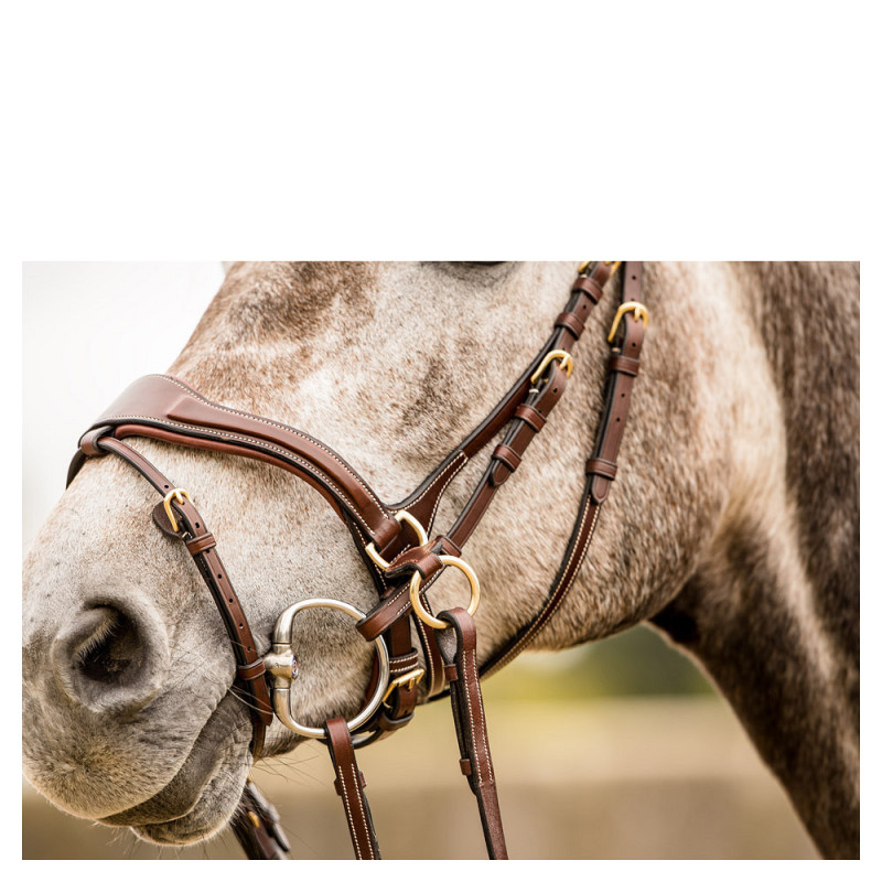 Bridon muserolle combinée Falsterbo - Trust | Mors & More