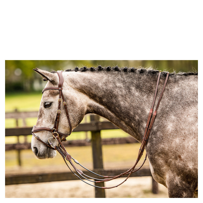 Falsterbo bridle combined noseband - Trust | Mors & More
