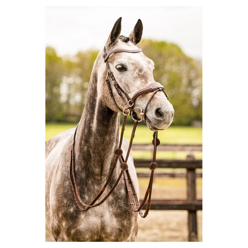 Falsterbo bridle combined noseband - Trust | Mors & More