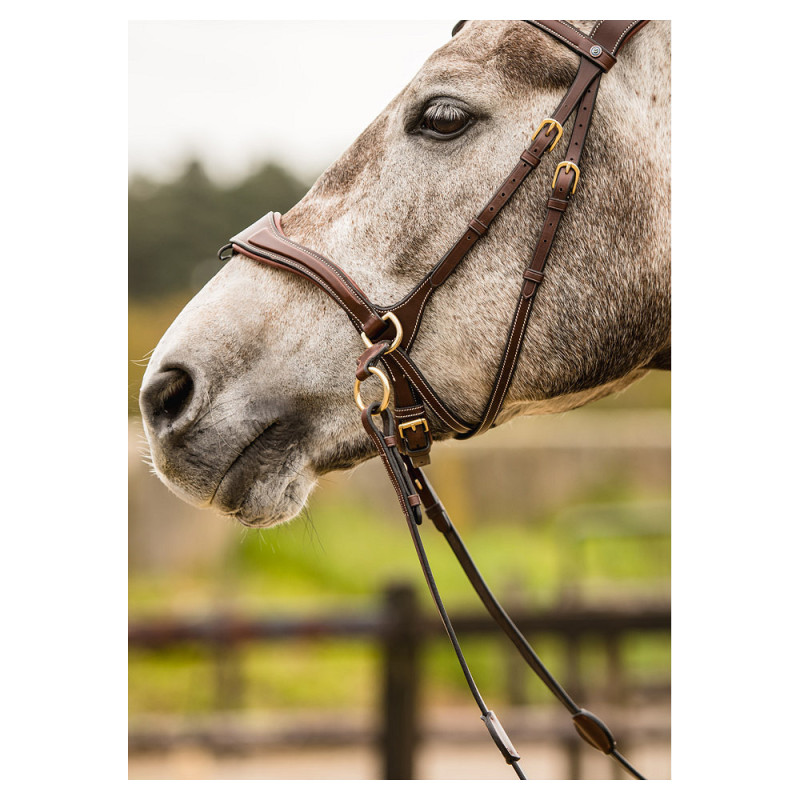 Falsterbo bridle combined noseband - Trust | Mors & More