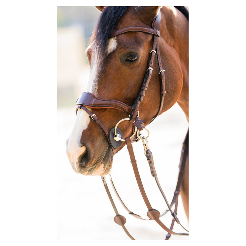 Falsterbo bridle combined noseband - Trust | Mors & More