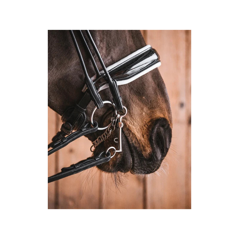 Mors de filet de bride 2 anneaux simple brisure JESPER Fager