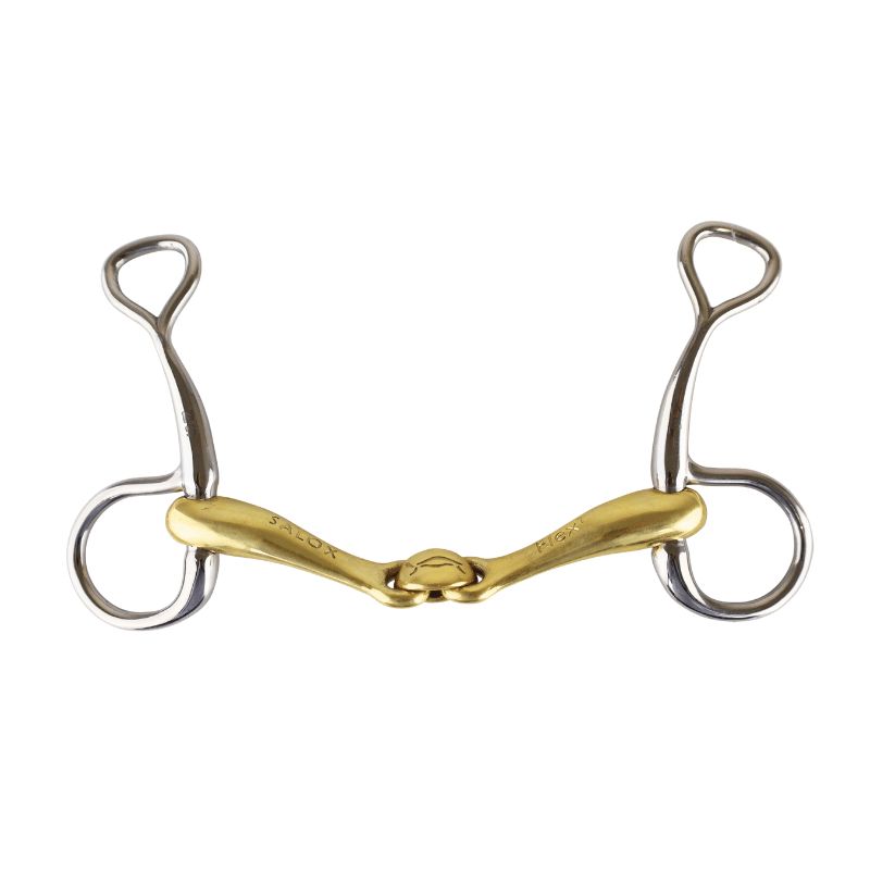 Turtle Tactio baucher - Neue Schule