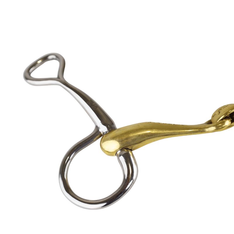 Turtle Tactio baucher - Neue Schule