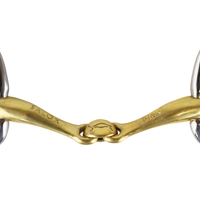 Turtle Tactio baucher - Neue Schule