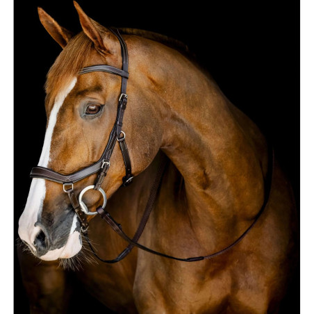 Bridon Micklem Compétition Horseware | Mors & More