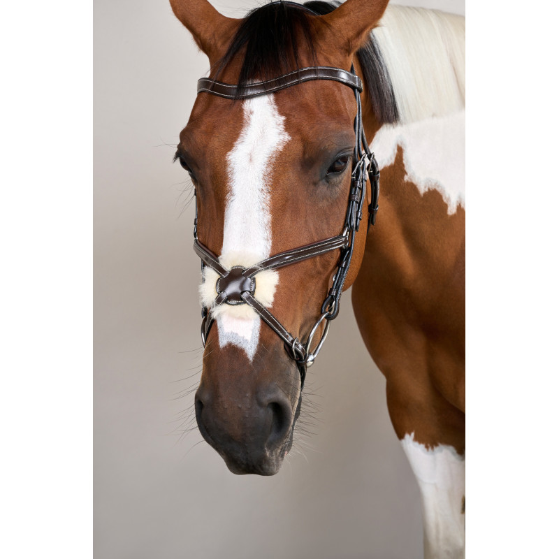 Figure 8 Noseband Bridle - Working by Dyon | Mors & More