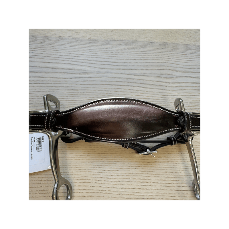 Leather hackamore used - Jump'in | Mors & More