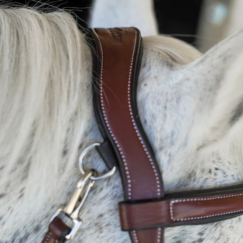 Freedom Bridle - Flags And Cup