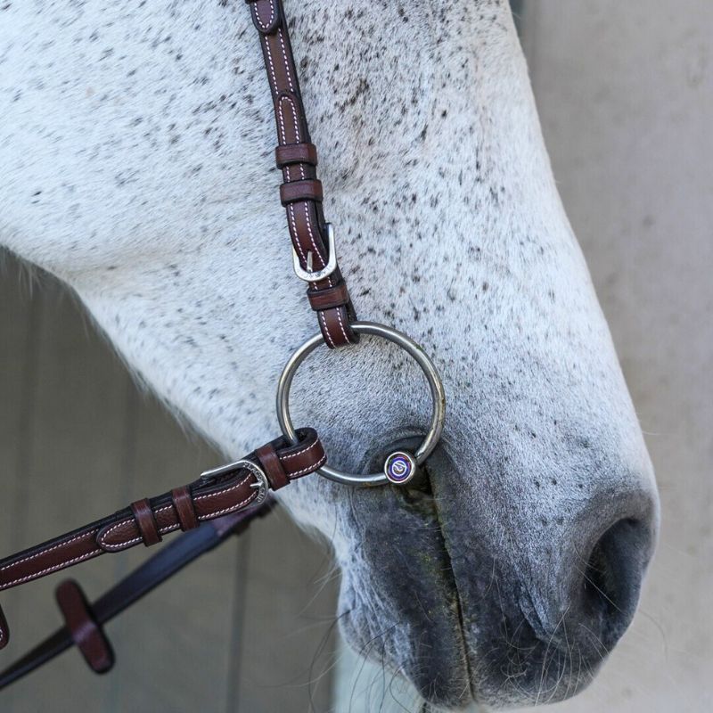 Freedom Bridle - Flags And Cup