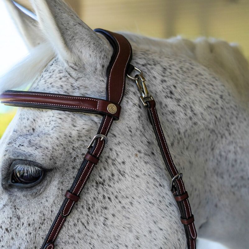 Freedom Bridle - Flags And Cup