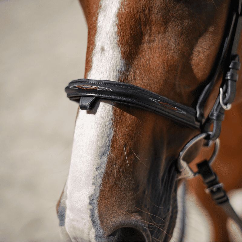 Elite Hybrid Form Bridle - Eric Thomas