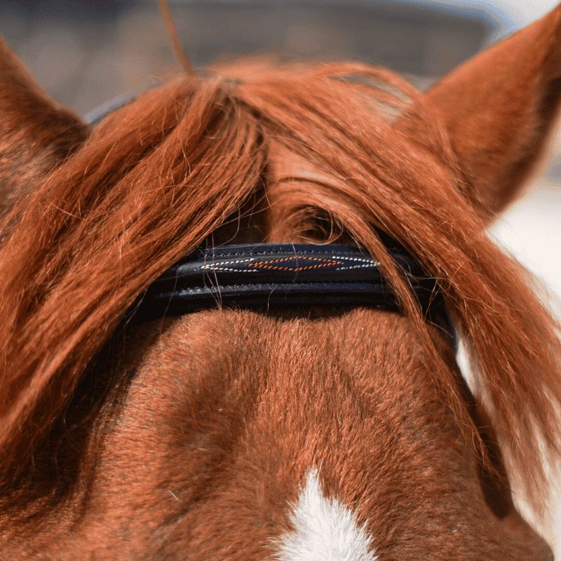 Elite Hybrid Form Bridle - Eric Thomas