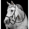 Bridle Micklem version 2 Deluxe Competition - Horseware | Mors & More