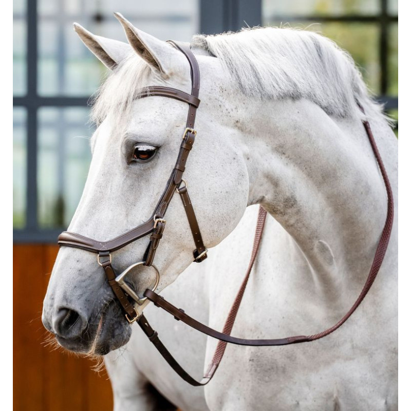 Bridon Micklem version 2 Deluxe Compétition - Horseware| Mors & More