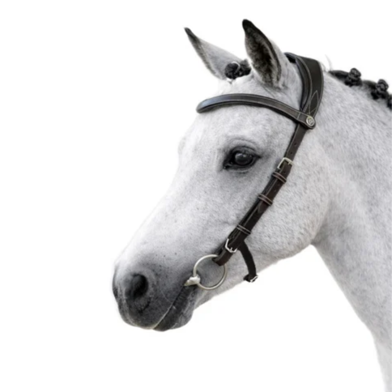 Bridle Helsinki - PS of Sweden | Mors & More