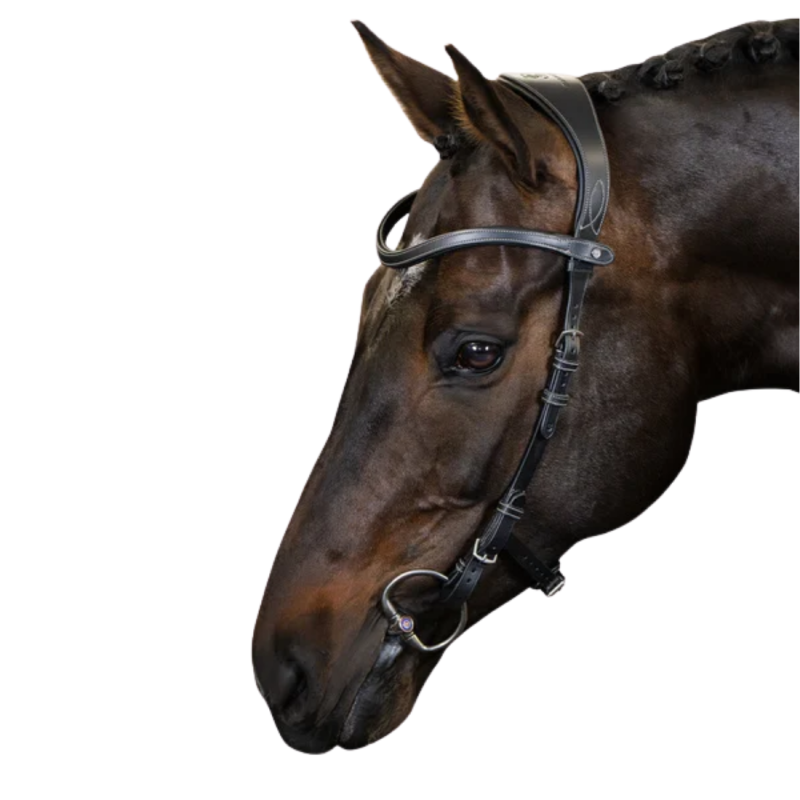 Bridle Helsinki - PS of Sweden | Mors & More