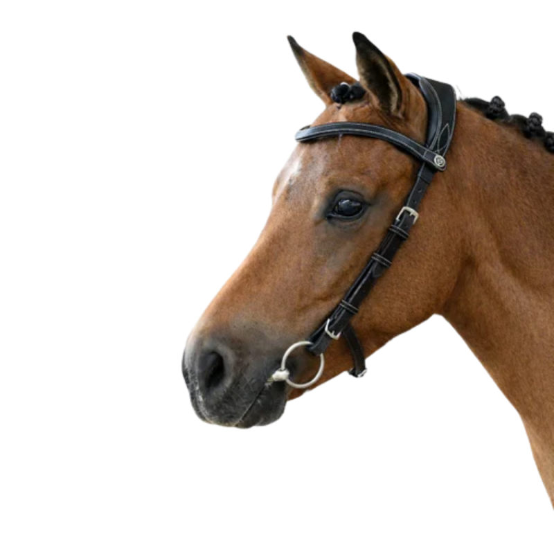 Bridle Helsinki - PS of Sweden | Mors & More