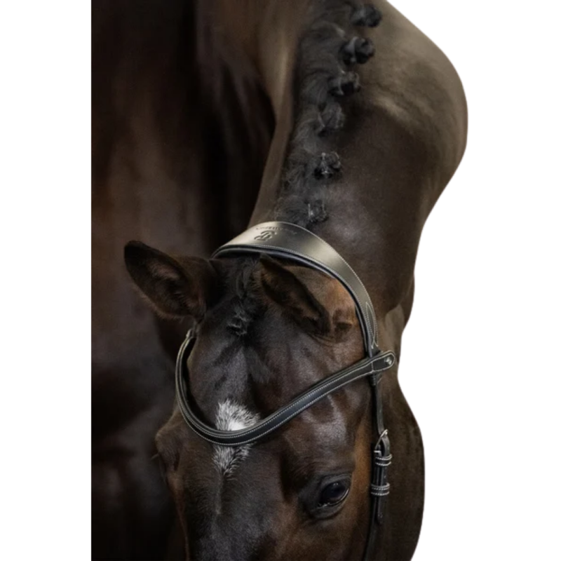 Bridle Helsinki - PS of Sweden | Mors & More