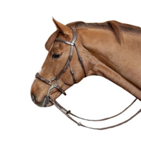 Hackamore Bridle - HFI