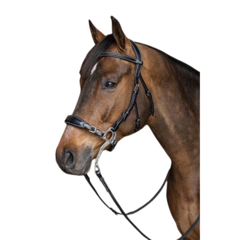 Bridon Hackamore - HFI