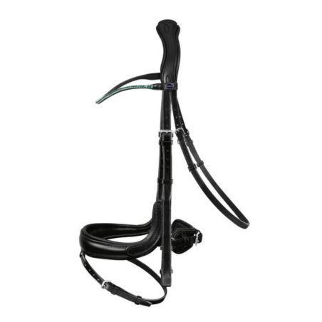 Fantastic Snaffle Bridle - Passier