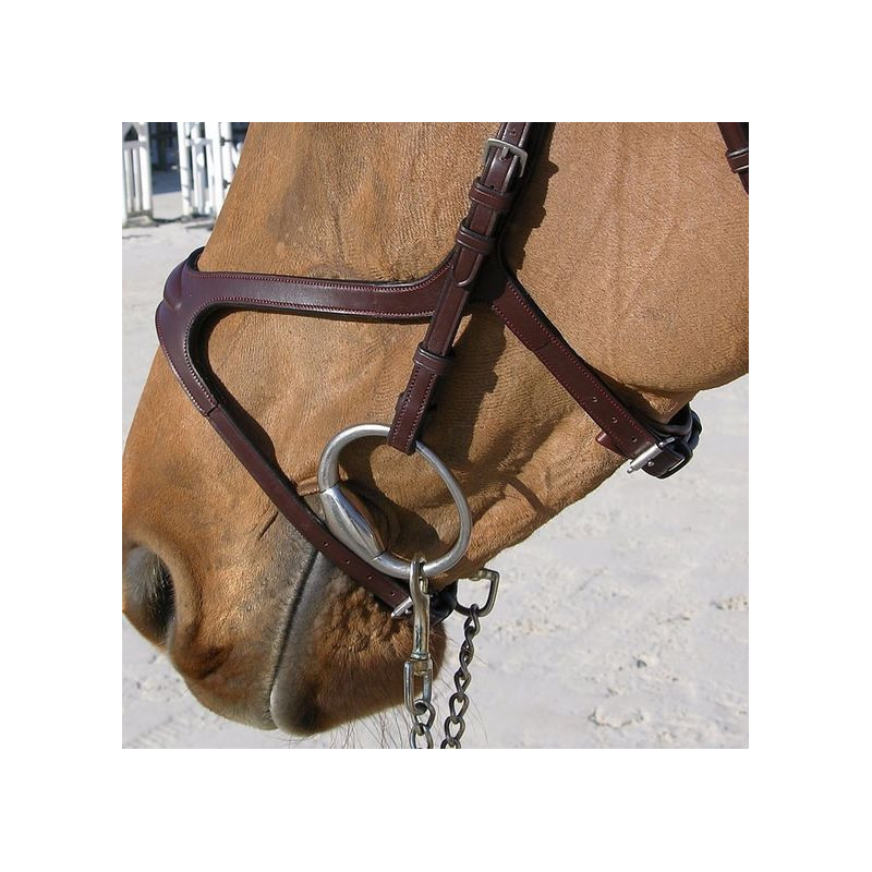 X-Fit Bridle - New English Collection Dy'on