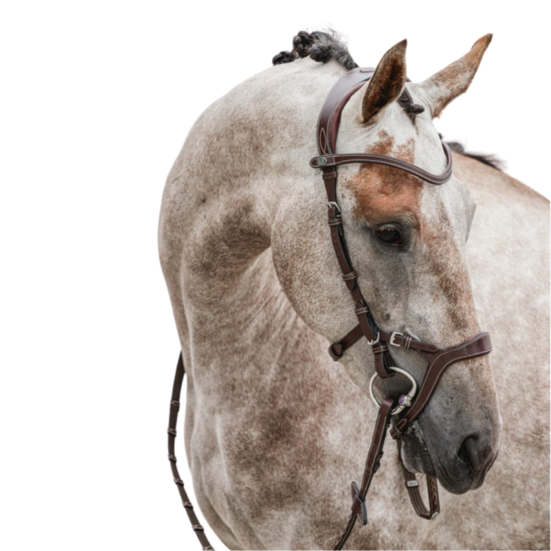 Nirak Bridle - PS of Sweden | Mors & More