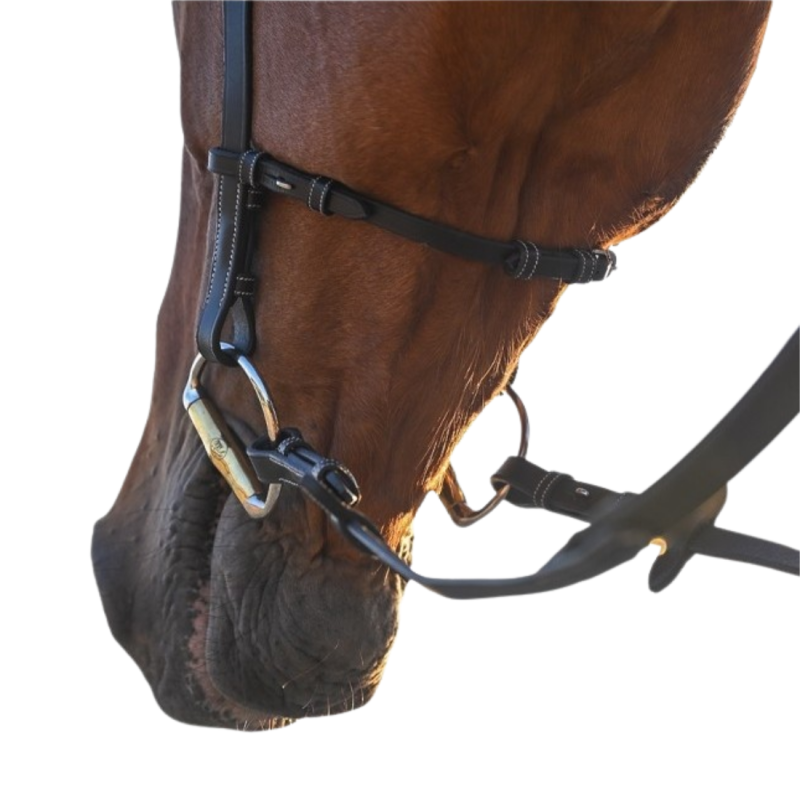 Liberty Bridle - One Collection - Jump'in | Mors & More