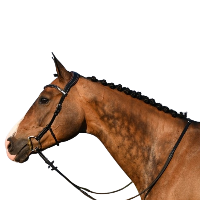 Liberty Bridle - One Collection - Jump'in | Mors & More