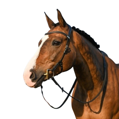 Liberty Bridle - One Collection - Jump'in | Mors & More