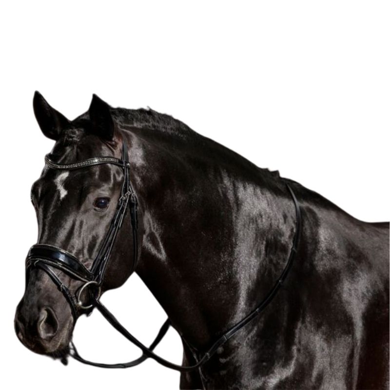 Select Stanford Glam Bridle - Schockemöhle