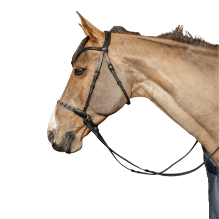Freedom Bitless Bridle - HFI | Mors & More