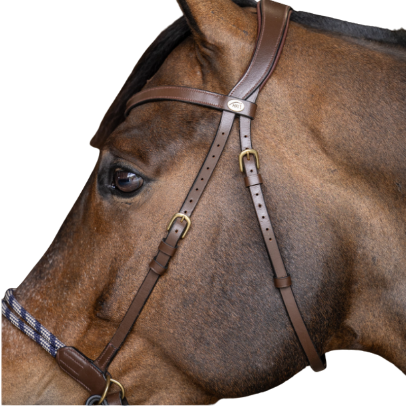 Bridon sans mors Freedom - HFI | Mors & More