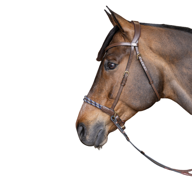 Freedom Bitless Bridle - HFI | Mors & More