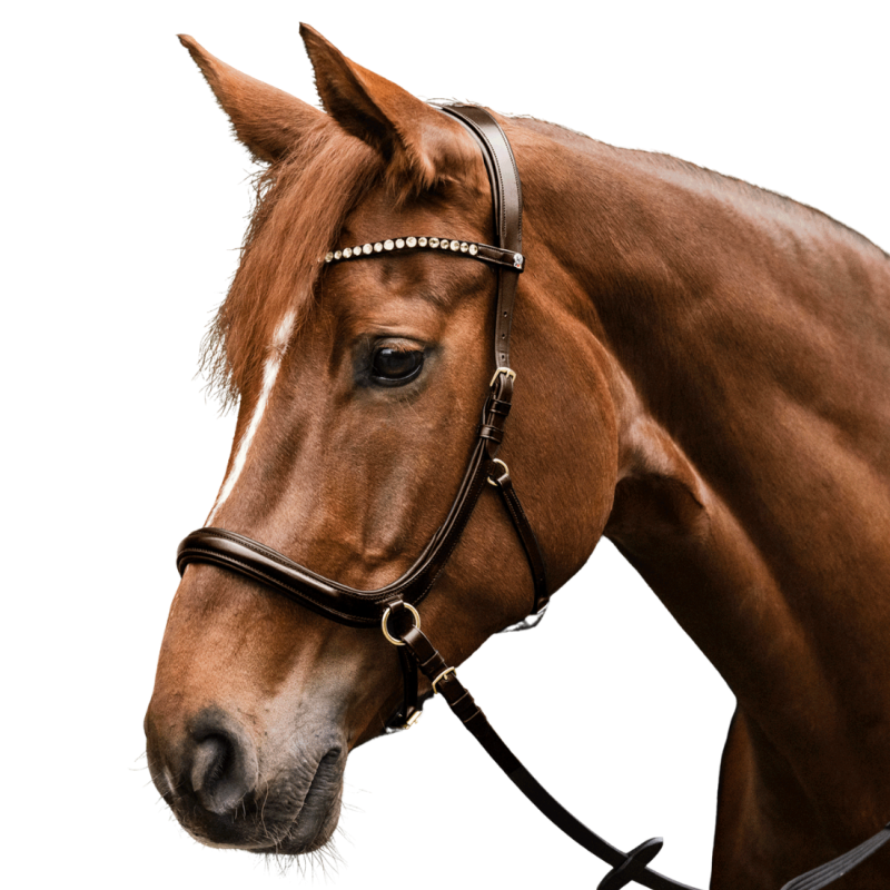 X-Line Bitless Bridle - Waldhausen | Mors & More