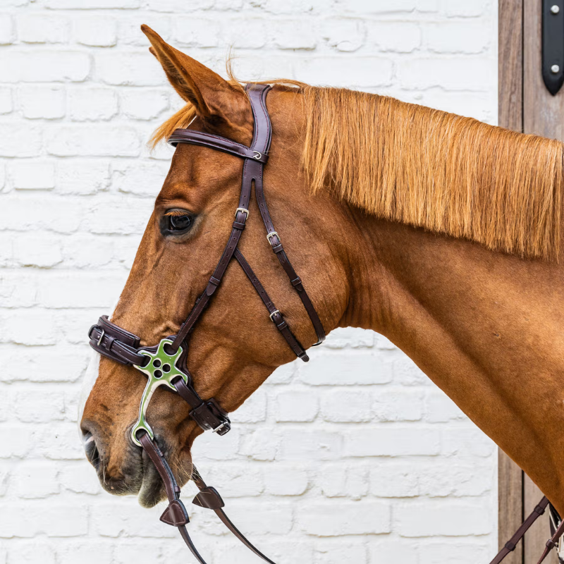 Hackamore Bridle - New English - Dyon | Mors & More
