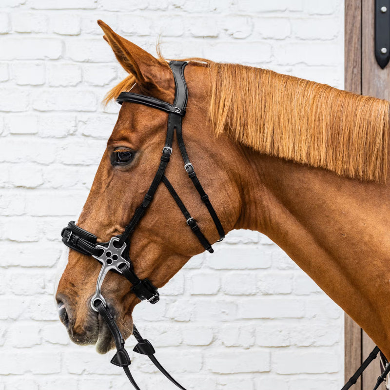 Hackamore Bridle - New English - Dyon | Mors & More