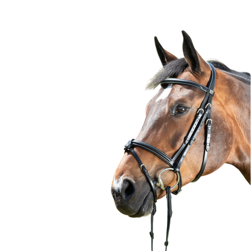 Anatomic Bridle - HFI | Mors & More